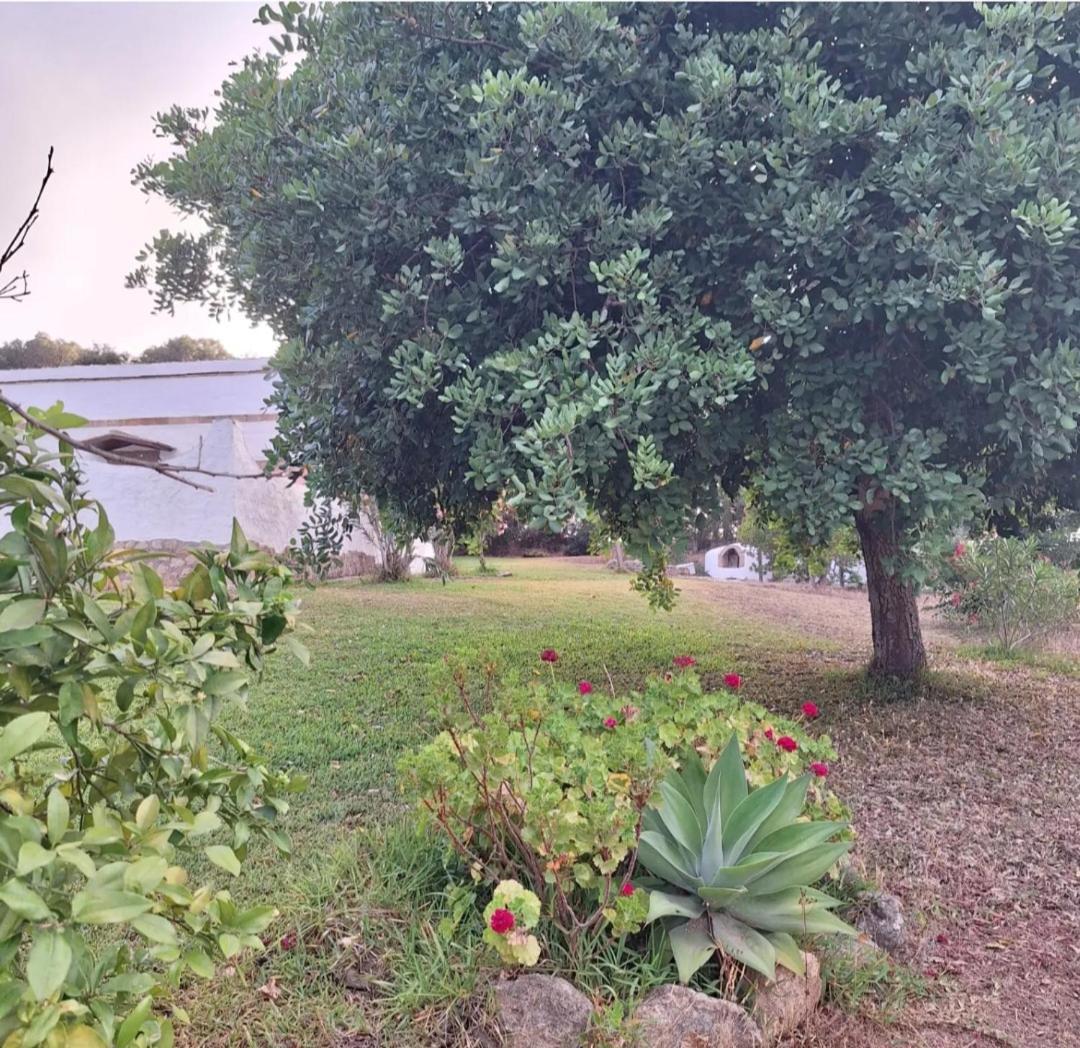 Casa Rural El Nino Santamaria , Con Piscina Y Wifi 베예데라프론테라 외부 사진